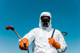 Best Termite Inspection and Treatment  in Mayville, NY